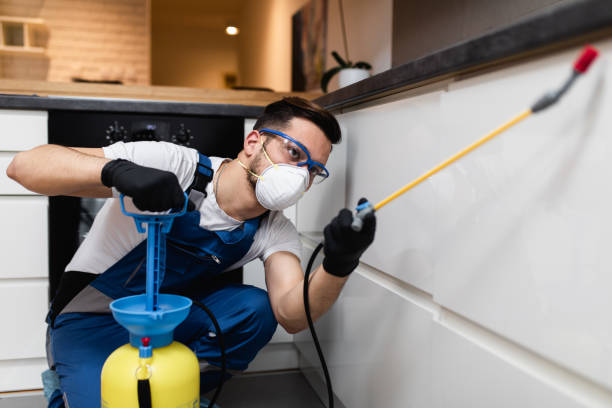 Best Mosquito Control Services  in Newton, AL