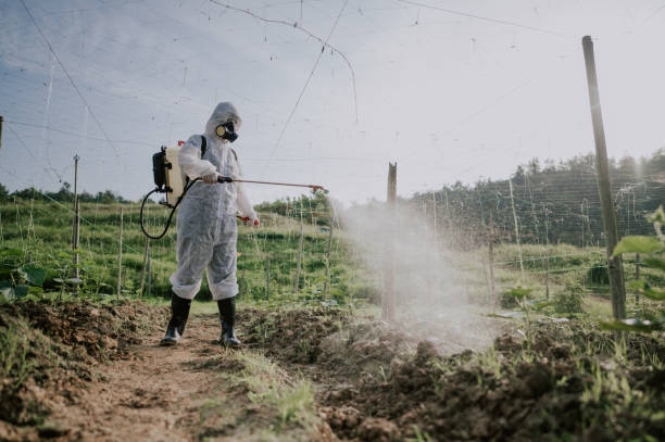 Best Pest Control Treatment  in Newton, AL