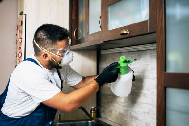 Best Cockroach Control Services  in Newton, AL