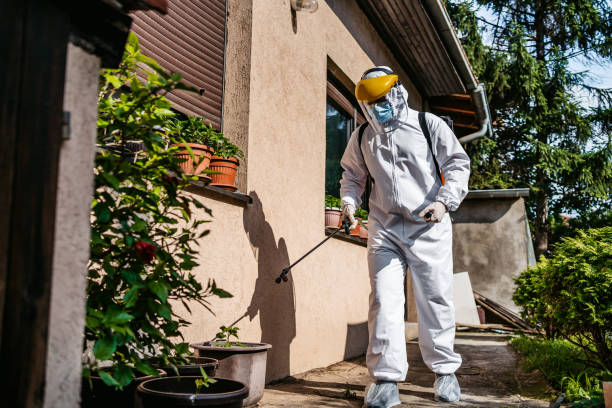 Best Pest Removal Services  in Newton, AL