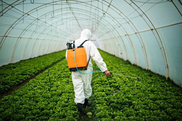 Best Local Pest Control Services  in Newton, AL