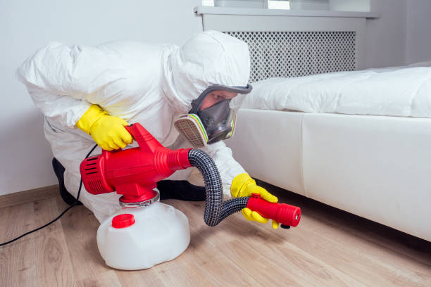 Best Local Pest Control Services  in Newton, AL