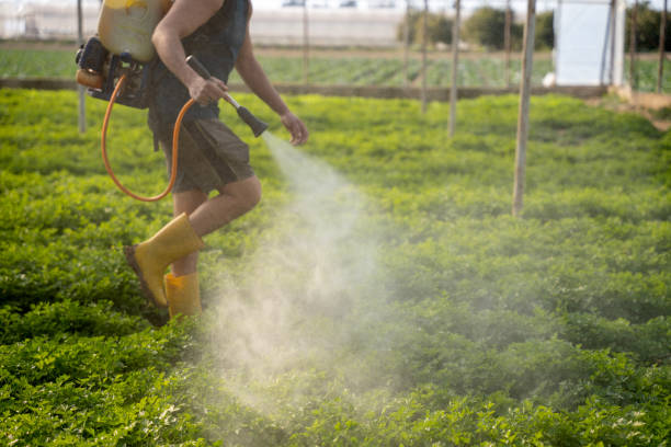 Professional Pest Control in Newton, AL