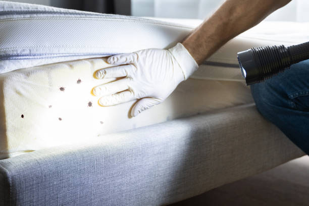Best Best Pest Control Companies  in Newton, AL