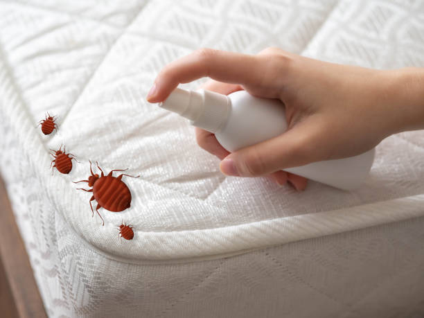 Best Pest Inspection Near Me  in Newton, AL