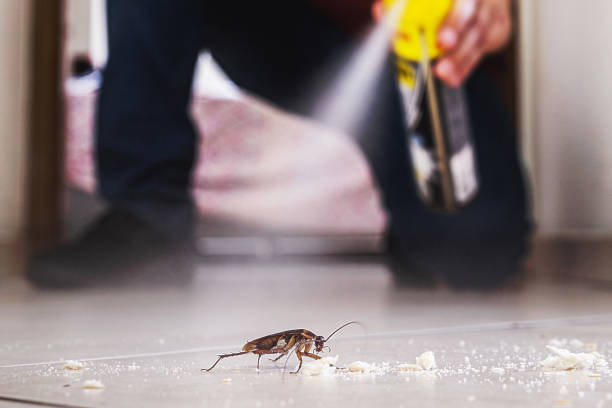 Best Pest Prevention Services  in Newton, AL