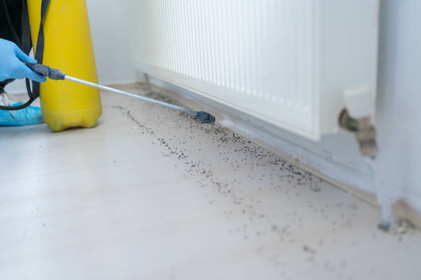 Best Pest Removal Services  in Newton, AL