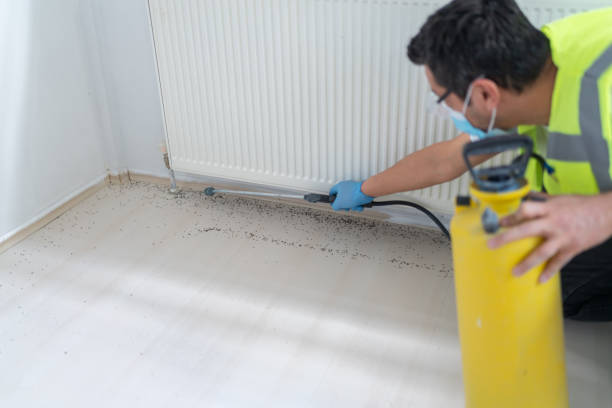 Best Best Pest Control Companies  in Newton, AL